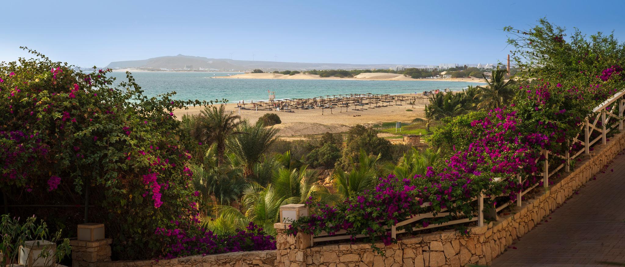Palm gardens overlooking a sandy beach on Sal, Cape Verde